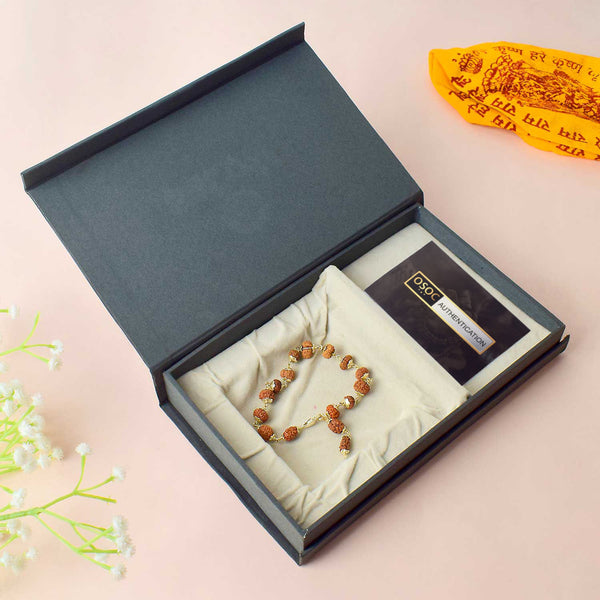 Authentic & Certified 1 to 14 Face Rudraksha Bracelet with Silver Capping