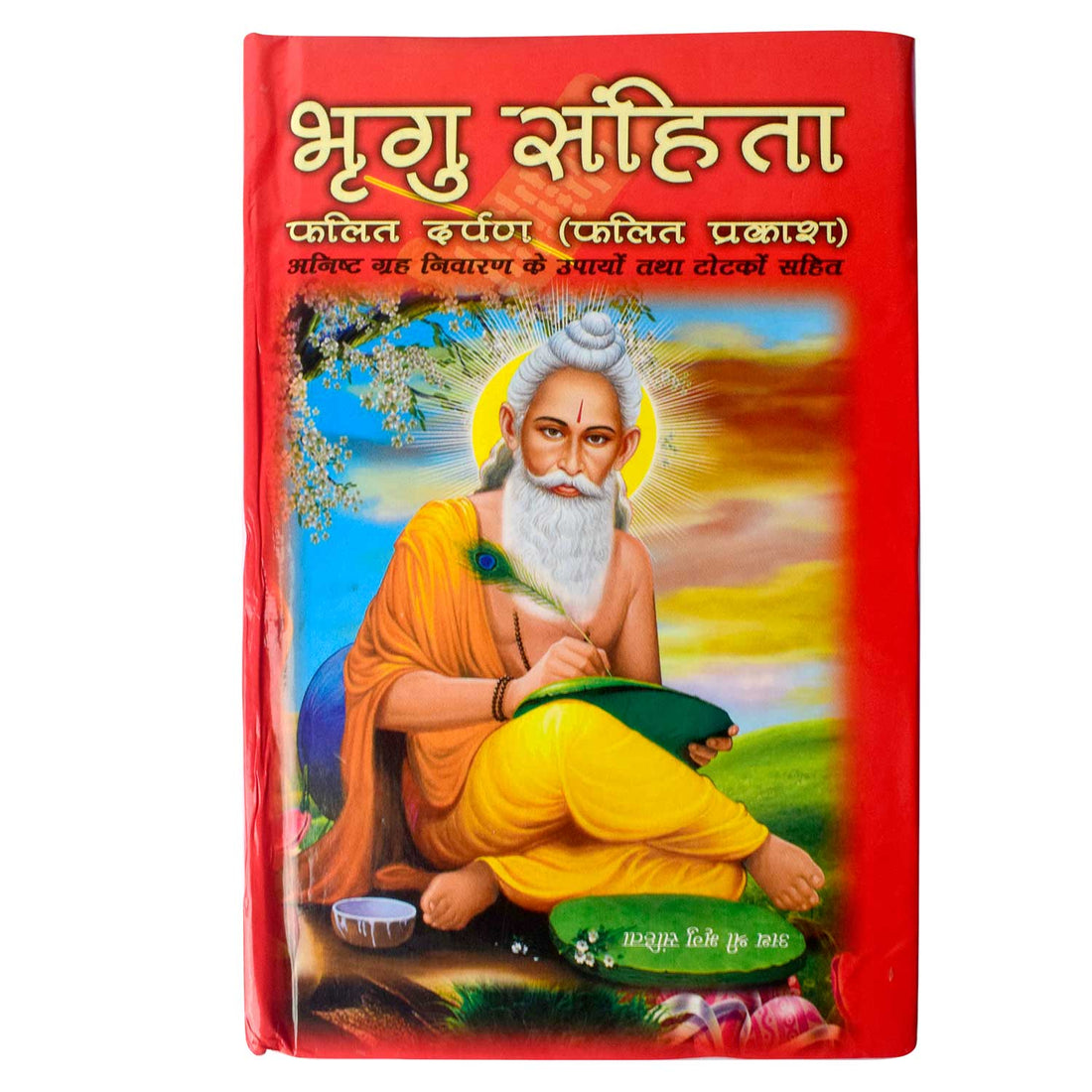 Bhrigu Samhita Book in Hindi - Ancient Astrology & Life Predictions