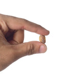 Certified Natural Shukra Mani (Machh Mani) in Golden Finish for Venus Blessings