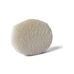 Certified Surya Mani (Machh Mani) in White Finish for Divine Radiance & Sun Energy