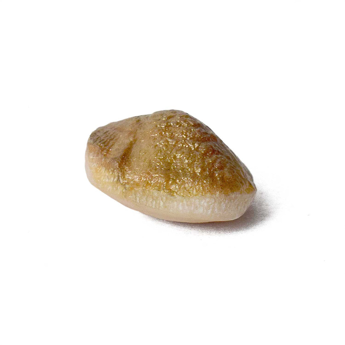 Certified Natural Machh Mani in Golden Finish for Divine Protection