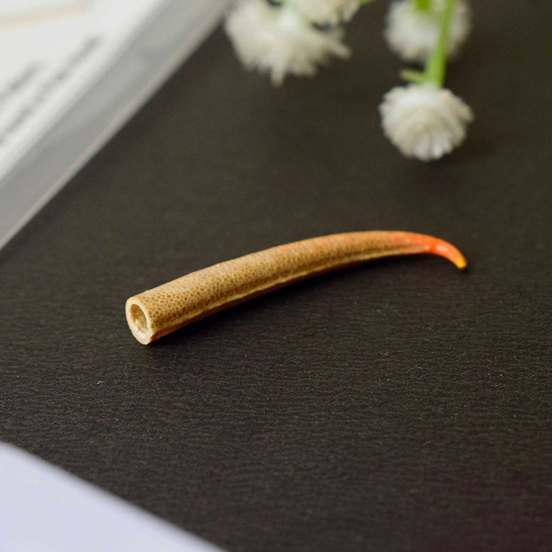 Certified Mangal Mani (Mangal Kata Small) in Polished Finish for Planet Mars Remedies