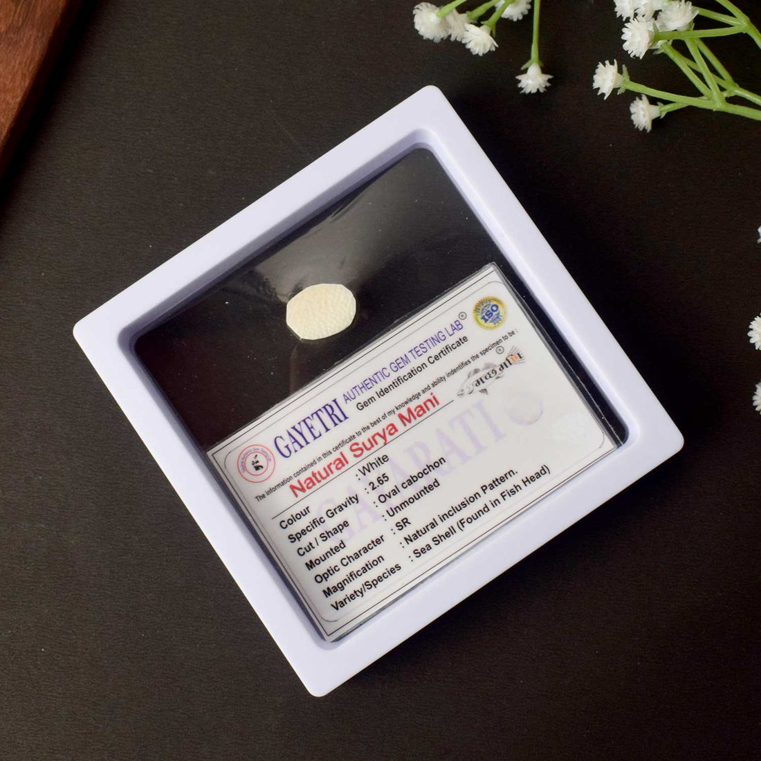 Certified Surya Mani (Machh Mani) in White Finish for Divine Radiance & Sun Energy