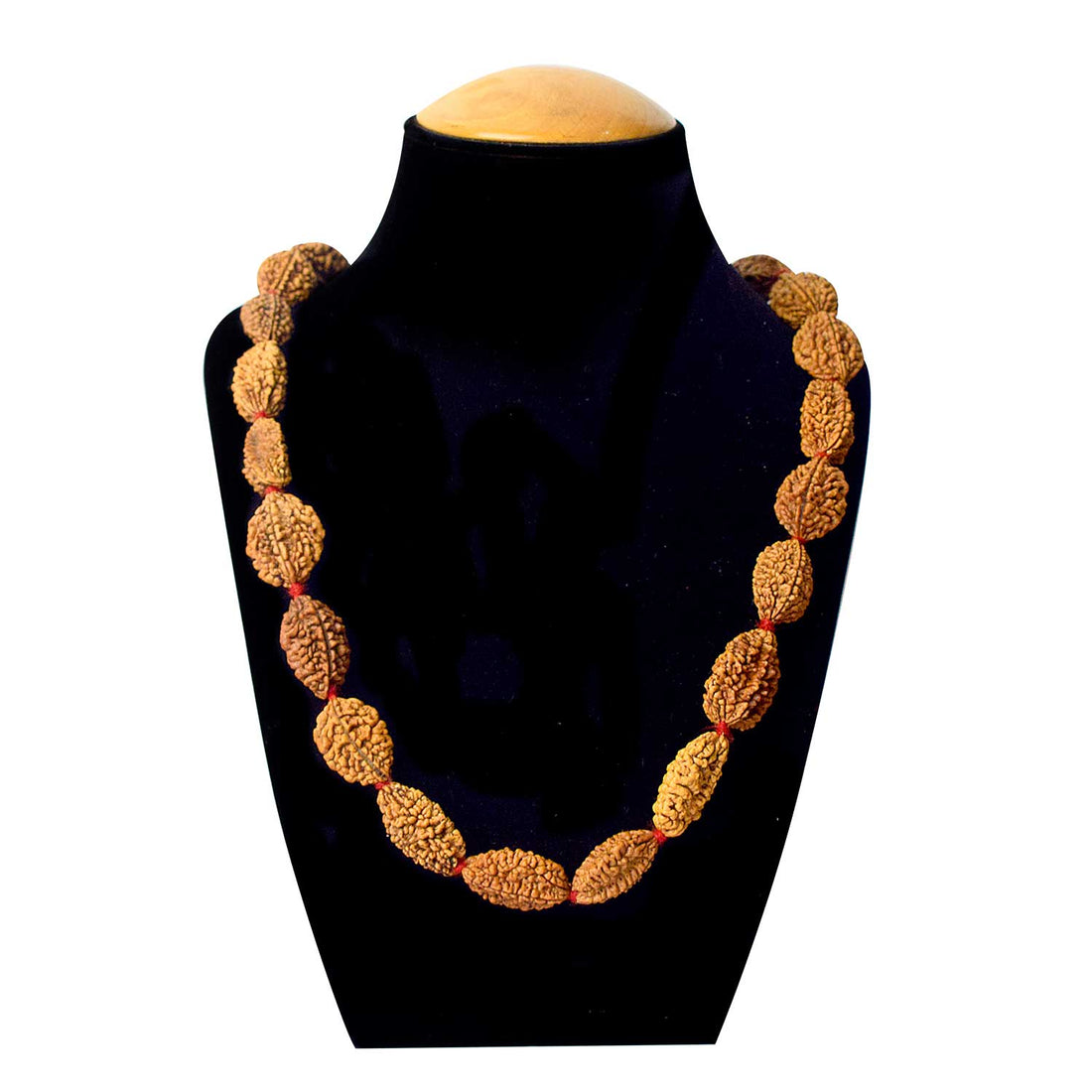 2 Mukhi Kantha Rudraksha Mala