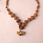 1–14 Mukhi Siddh Rudraksha Mala with Big 1 Mukhi Bead 100% Original & Certified