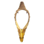 Elegant Brass Shankh Stand