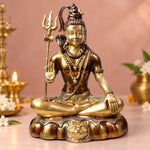 17 Inch Brass Shiva Idol in Meditative Posture