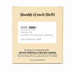Mini Vamavarti Shankha (Conch Shell) Natural Blowing Shankh