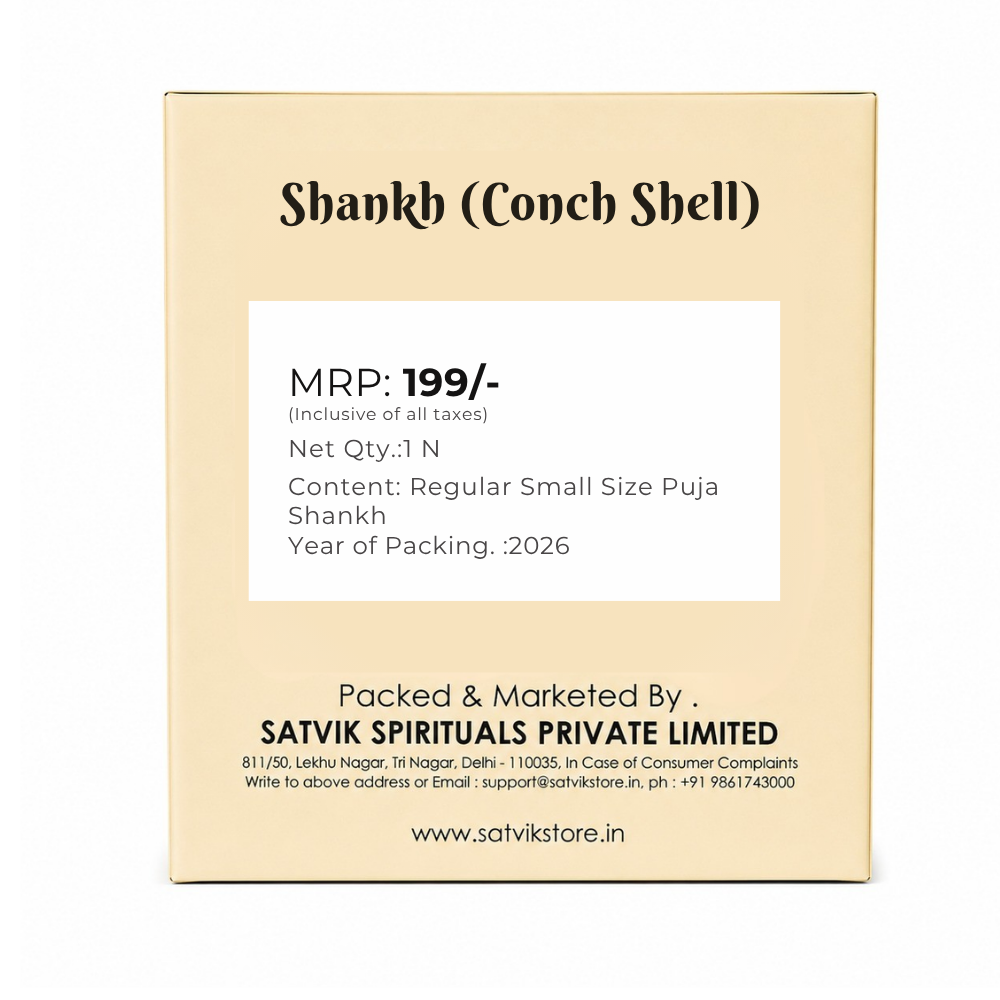 Regular Small Size Puja Shankh in White Colour (Conch Shell)