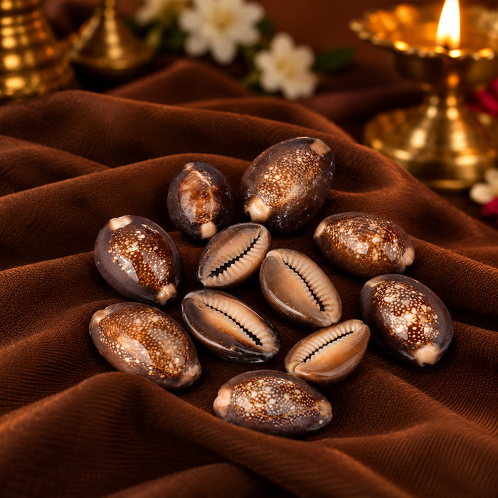Natural Brown Kodi for Pooja (11 Pc)