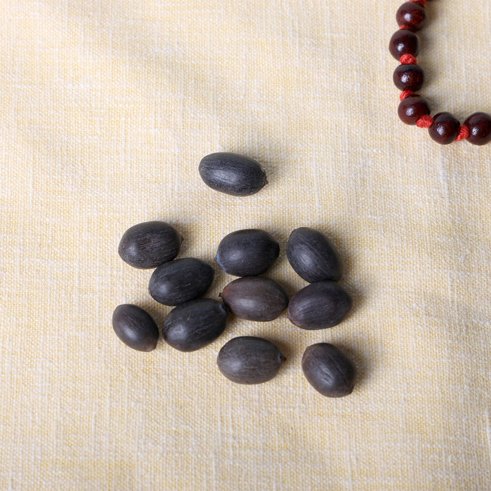 Natural Kamal Gatta Loose Beads