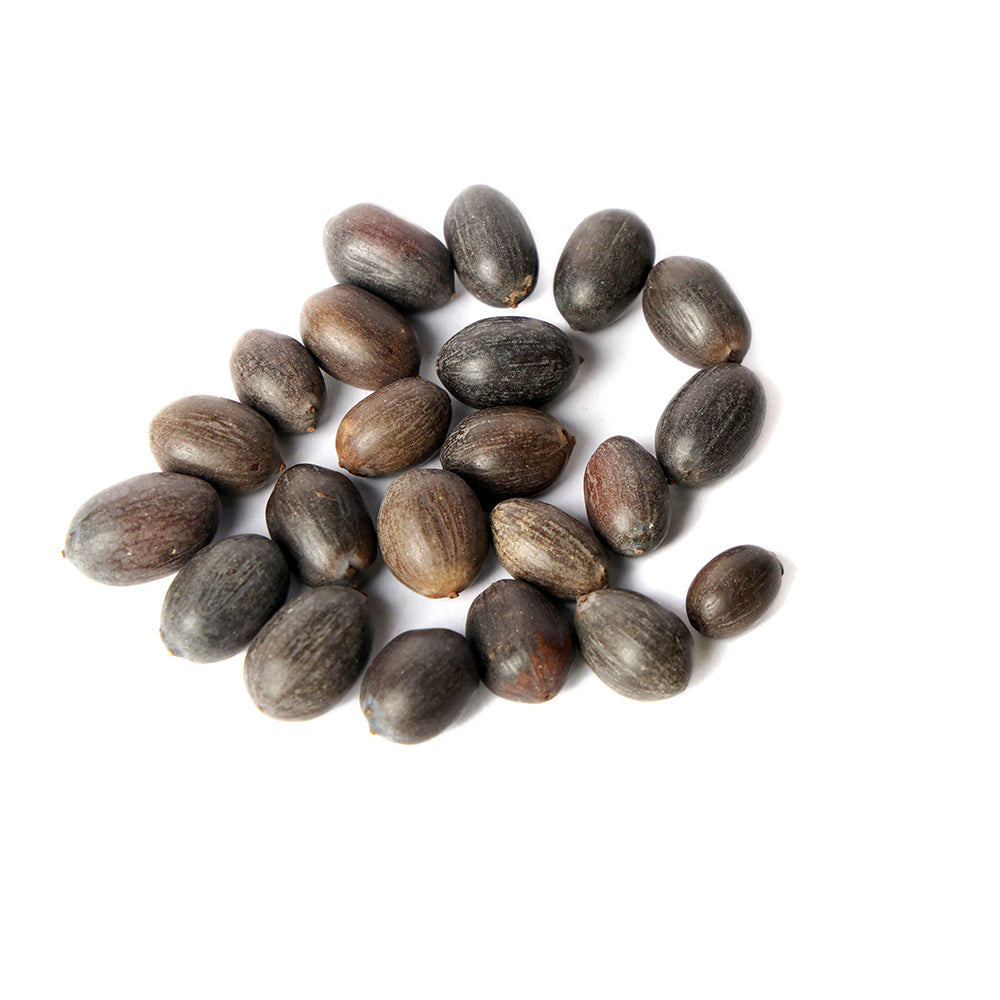 Natural Kamal Gatta Loose Beads