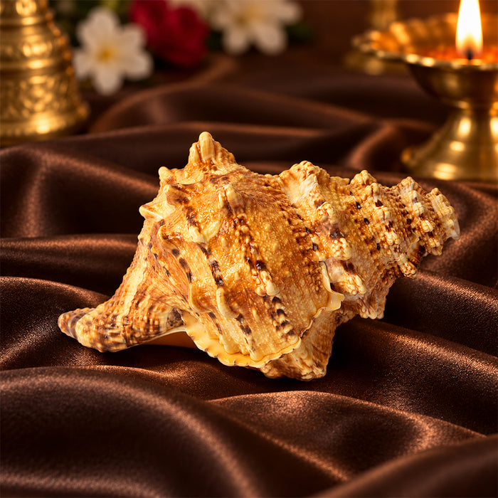 Sughosh Shankh (Bursa Bubo) – Sacred Sound of Positivity