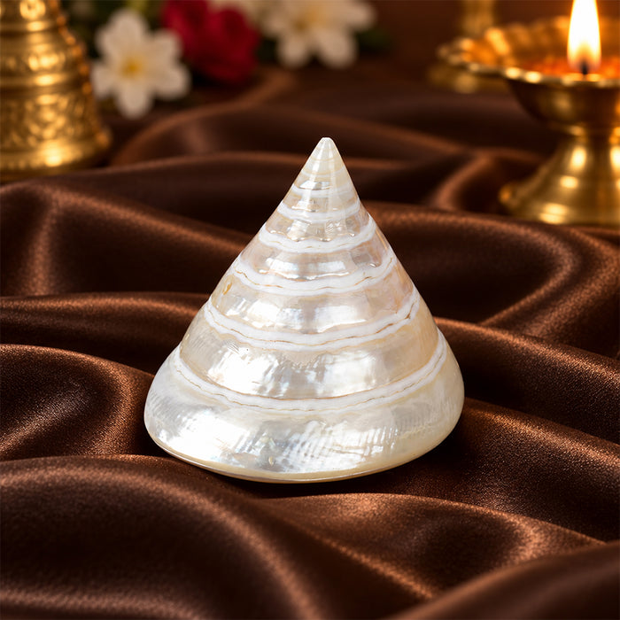Moti Shankh (Pearl Trochus) – Purity, Peace & Pooja Blessings
