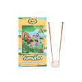Ganesha devotional activity kit for kids with learning materials