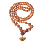 1–14 Mukhi Siddh Rudraksha Mala with Big 1 Mukhi Bead 100% Original & Certified
