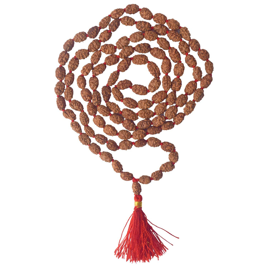 2 Mukhi Pathariya Rudraksha Mala (6-7mm)