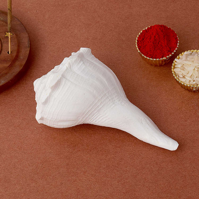 Original Dakshinavarti Shankh 10–11 cm Right Spiral Conch Shell for Pooja and Vastu. India’s Largest Pooja Accessories Brand - www.satvikstore.in