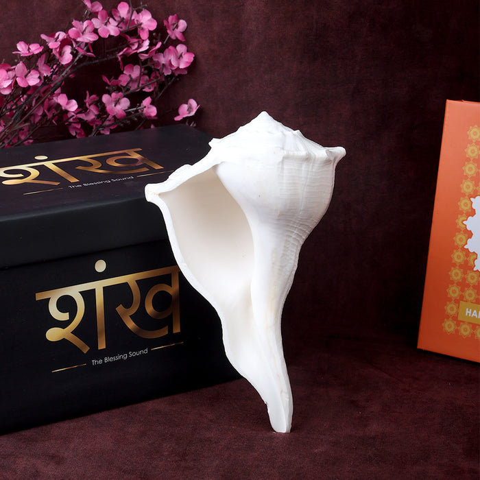 Natural Dakshinavarti Valampuri Shankh 16.5 cm sacred right-handed conch shell for puja, vastu, and spiritual rituals. India’s Largest Pooja Accessories Brand – www.satvikstore.in
