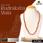 Original 2 Mukhi Rudraksha Mala – 108 Beads for Relationship Harmony, Love & Emotional Balance. India’s Largest Pooja Accessories Brand - www.satvikstore.in 