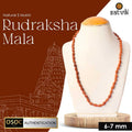 Original 2 Mukhi Rudraksha Mala – 108 Beads for Relationship Harmony, Love & Emotional Balance. India’s Largest Pooja Accessories Brand - www.satvikstore.in 