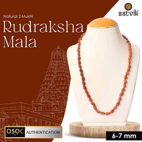 2 mukhi rudraksha mala 6-7mm