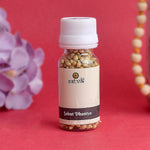 Sabut Dhaniya (Whole Coriander Seeds) are commonly used in Hindu pooja rituals and havan ceremonies, offering fragrance and spiritual energy – India’s Largest Pooja Accessories Brand – www.satvikstore.in