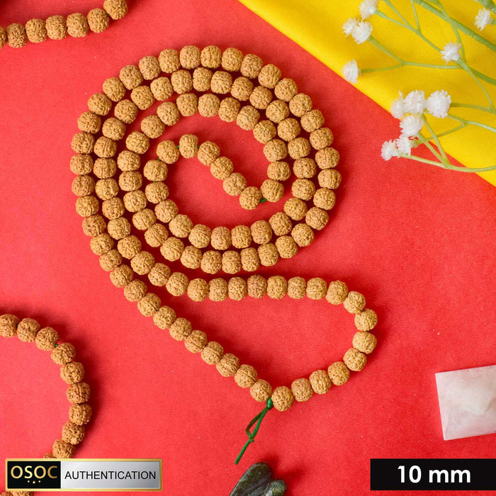 Semi Pathariya Rudraksha Mala with natural brown beads for meditation and spiritual chanting. India’s Premium Rudraksha Jap Mala Store- www.satvikstore.in
