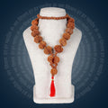 Siddha Mala with 1 Mukhi Underdeveloped Nepal collector grade Rudraksha thread mala. India’s Premium Rudraksha Jap Mala Brand - www.satvikstore.in