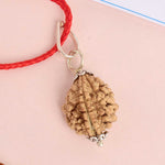 Certified 2 Mukhi Rudraksha Pendant with metal capping for spiritual balance and unity. India’s Premium Rudraksha Jap Mala Store- www.satvikstore.in