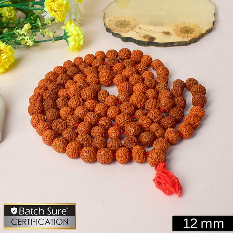5 Mukhi 12.3 MM 108 Dana Rudraksha Mala – Authentic Spiritual Beads